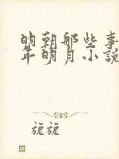 明朝那些事儿当年明月小说在线阅读全文