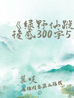 《绿野仙踪》读后感300字5篇