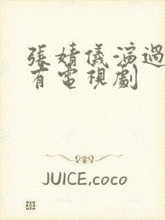 张婧仪演过的所有电视剧