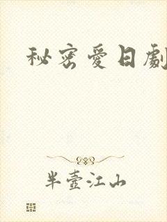 秘密爱日剧