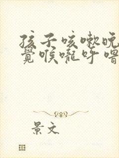 孩子咳嗽晚上睡觉喉咙呼噜呼噜响