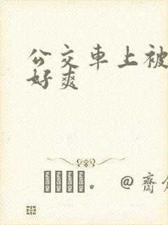 公交车上被插的好爽