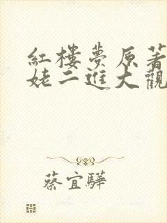 红楼梦原著刘姥姥二进大观园