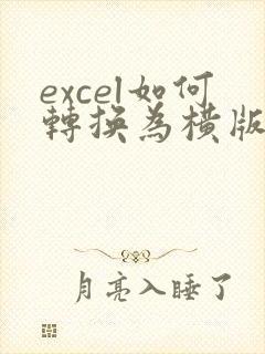 excel如何转换为横版的pdf