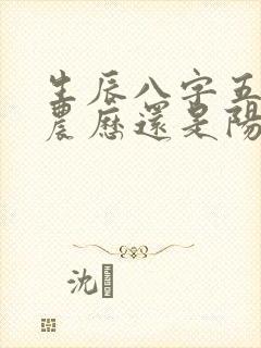 生辰八字五行按农历还是阳历