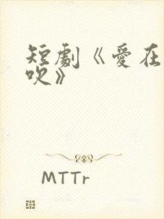 短剧《爱在晚风吹》