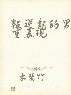 叛逆期的男孩严重表现
