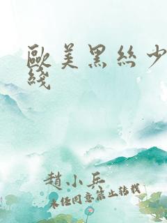 欧美黑丝少妇在线