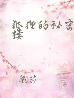 狐狸的秘密19楼