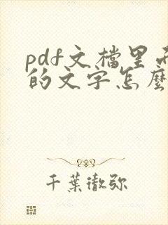 pdf文档里面的文字怎么编辑