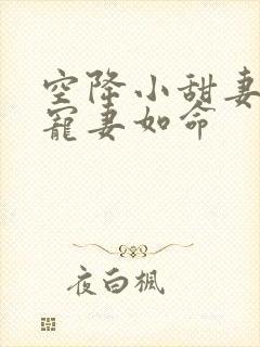 空降小甜妻爷他宠妻如命