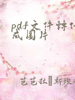 pdf文件转化成图片