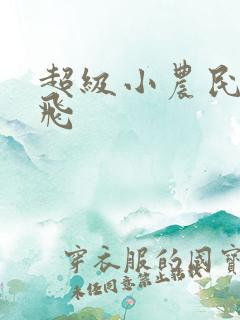 超级小农民王小飞