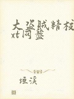大盗贼精校版txt网盘