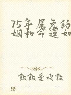 75年属兔的婚姻和命运如何