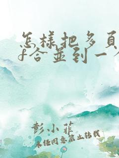 怎样把多页pdf合并到一个页面