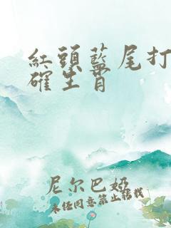 红头蓝尾打一准确生肖