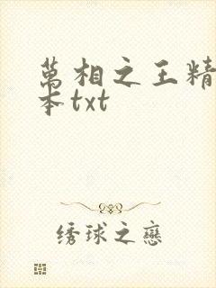 万相之王精校全本txt