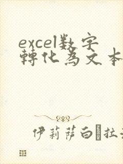 excel数字转化为文本格式