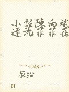 小说陈向斌王宏达沈菲菲在线阅读