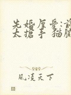 先婚厚爱:前妻太抢手 猫腻君
