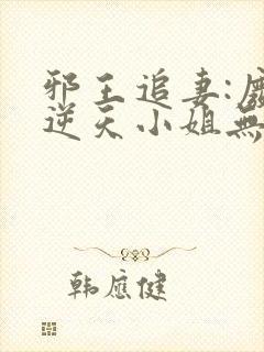 邪王追妻:废材逆天小姐无弹窗