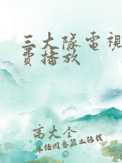 三大队电视剧免费播放
