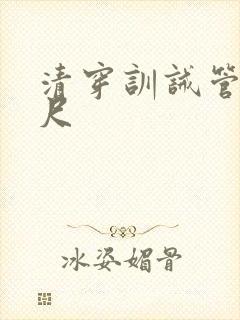 清穿训诫管教戒尺