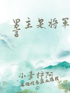 男主是将军的古言