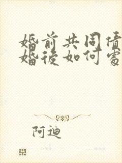 婚前共同债务离婚后如何处理