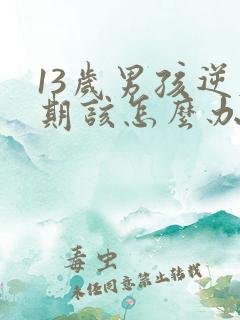 13岁男孩逆反期该怎么办