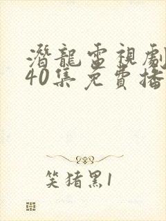 潜龙电视剧全集40集免费播放