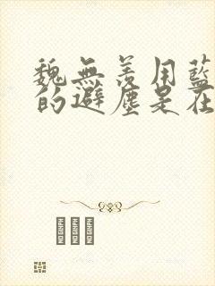 魏无羡用蓝忘机的避尘是在小说里面的第几章