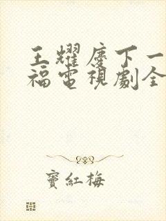 王耀庆下一站幸福电视剧全集