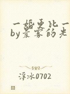 一婚更比一婚高by晨雾的光的小说