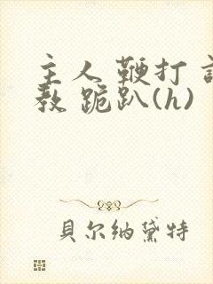 主人 鞭打 调教 跪趴(h)