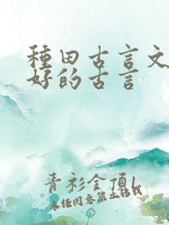 种田古言文笔超好的古言