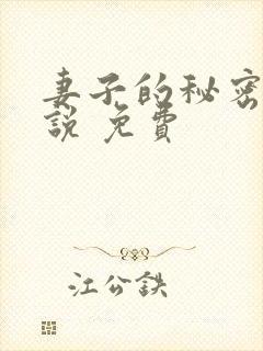 妻子的秘密 小说 免费