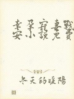 幸孕宠妻战爷晚安小说免费版