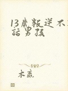13岁叛逆不听话男孩