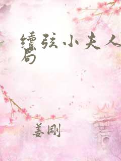 续弦小夫人大结局