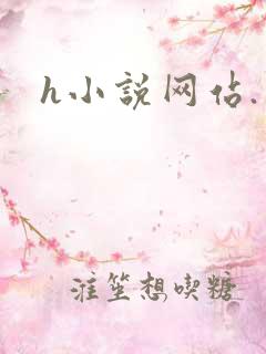 h小说网站.