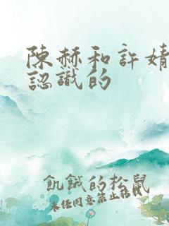 陈赫和许婧怎么认识的