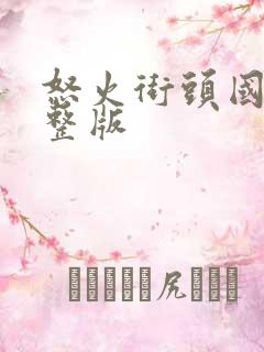 怒火街头国语完整版
