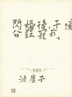 闪婚后,千亿老公狂宠我