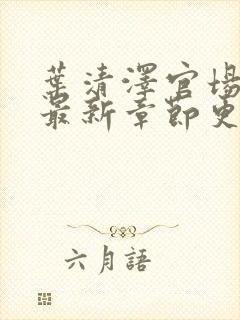 叶清泽官场小说最新章节更新免费阅读