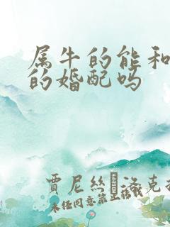 属牛的能和属龙的婚配吗