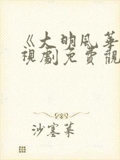 《大明风华》电视剧免费观看
