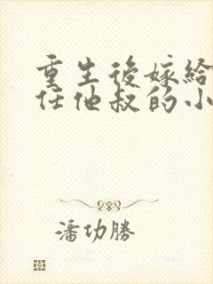 重生后嫁给了前任他叔的小说