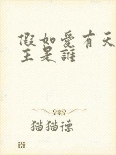假如爱有天意男主是谁